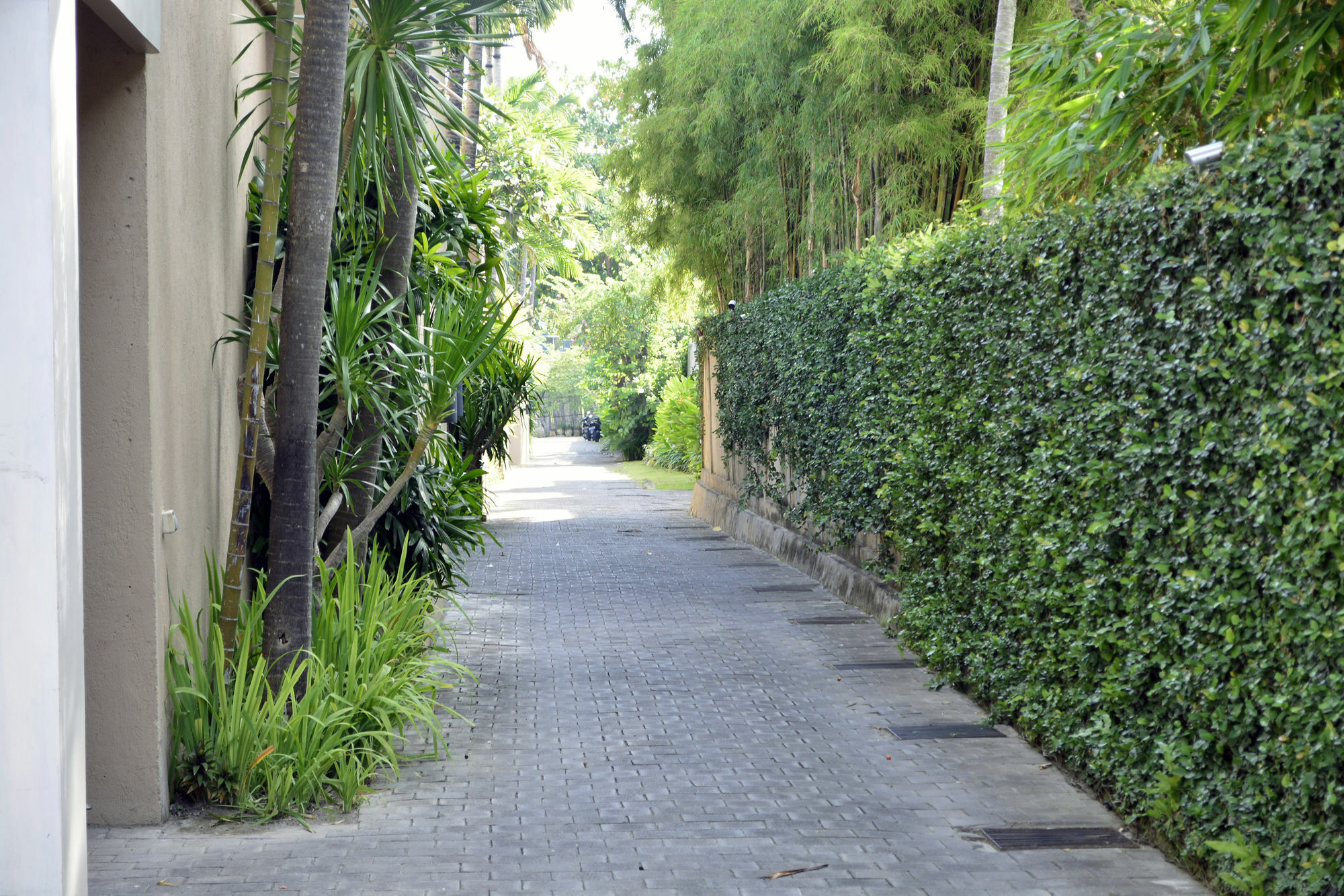 Sienna Villas - Chse Certified Seminyak Kültér fotó